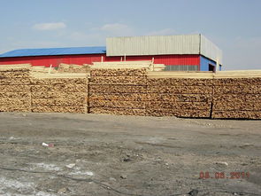 撫順南雜木材市場批發(fā)木材,同時批發(fā)竹膠板木模板橋梁板鐵路專用